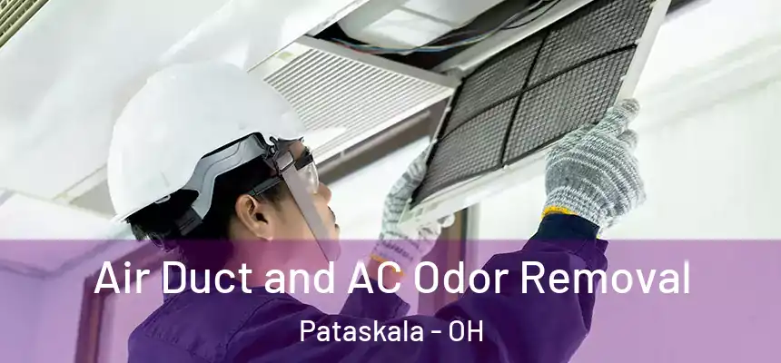  Air Duct and AC Odor Removal Pataskala - OH