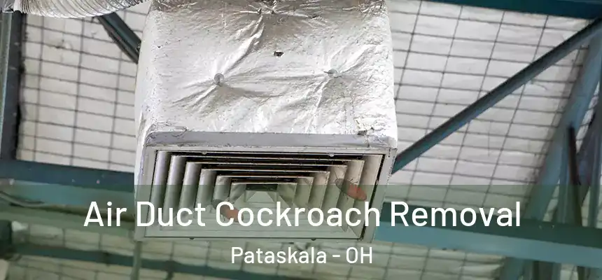 Air Duct Cockroach Removal Pataskala - OH