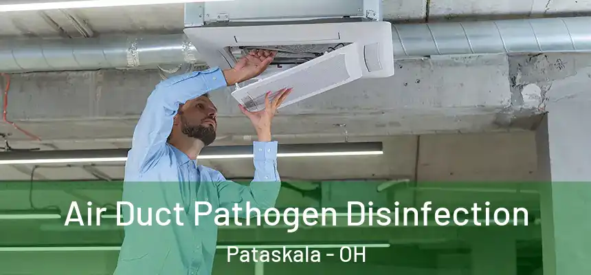 Air Duct Pathogen Disinfection Pataskala - OH