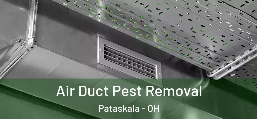 Air Duct Pest Removal Pataskala - OH