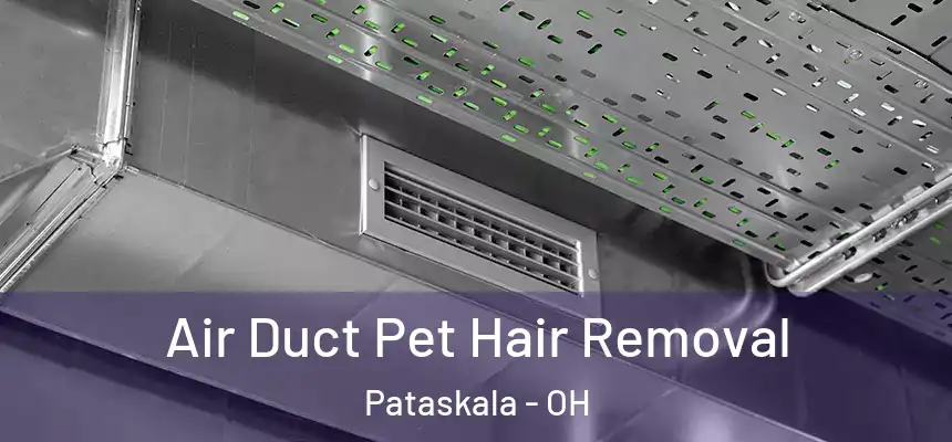  Air Duct Pet Hair Removal Pataskala - OH