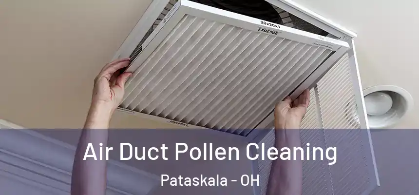 Air Duct Pollen Cleaning Pataskala - OH