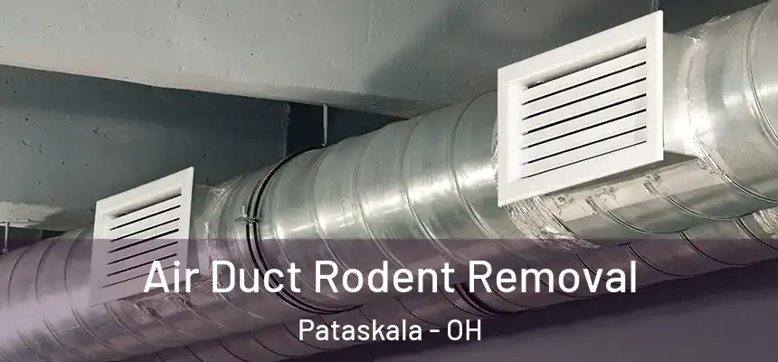 Air Duct Rodent Removal Pataskala - OH