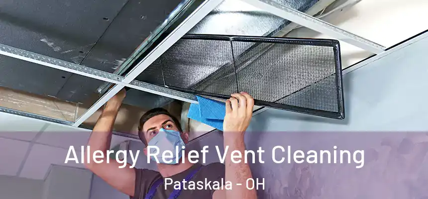 Allergy Relief Vent Cleaning Pataskala - OH
