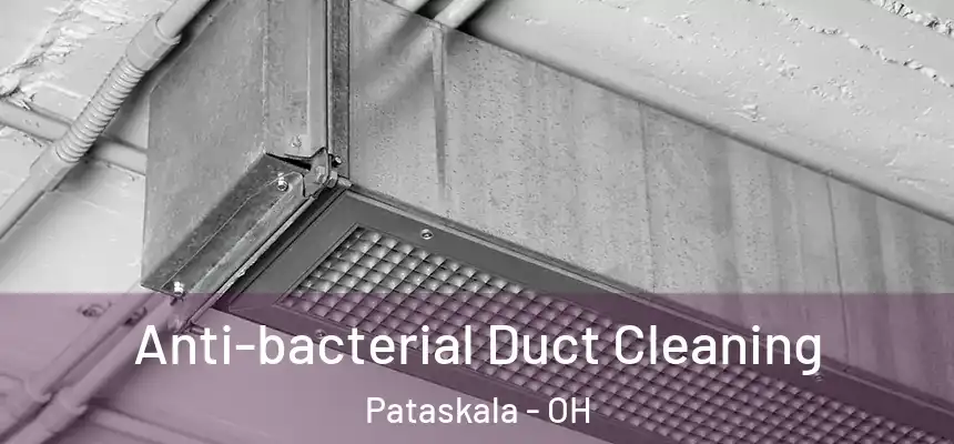 Anti-bacterial Duct Cleaning Pataskala - OH