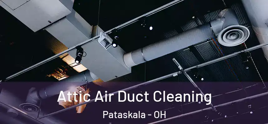 Attic Air Duct Cleaning Pataskala - OH