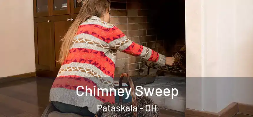 Chimney Sweep Pataskala - OH