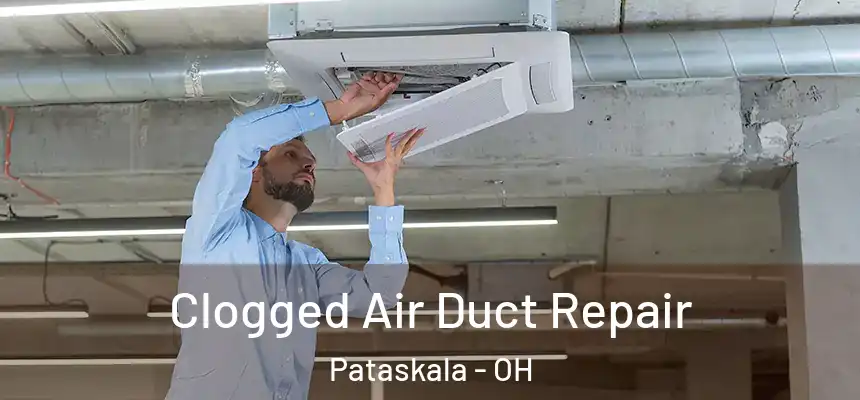 Clogged Air Duct Repair Pataskala - OH