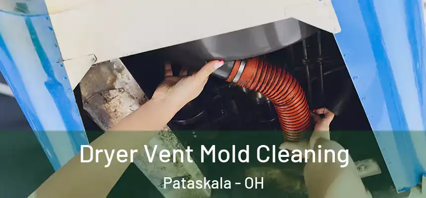 Dryer Vent Mold Cleaning Pataskala - OH