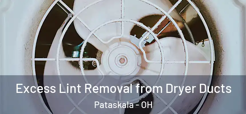  Excess Lint Removal from Dryer Ducts Pataskala - OH