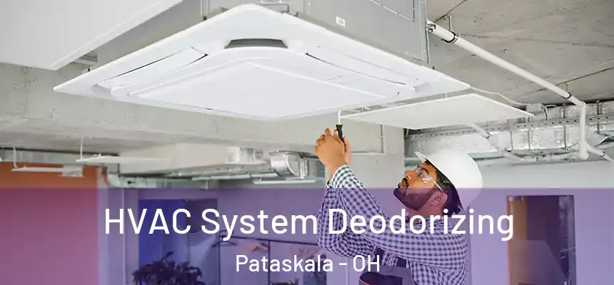 HVAC System Deodorizing Pataskala - OH