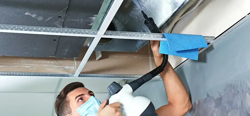 Our Air Duct Rodent Removal Services in Pataskala, OH