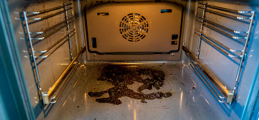 Our Dryer Vent Mold Cleaning Services in Pataskala, OH