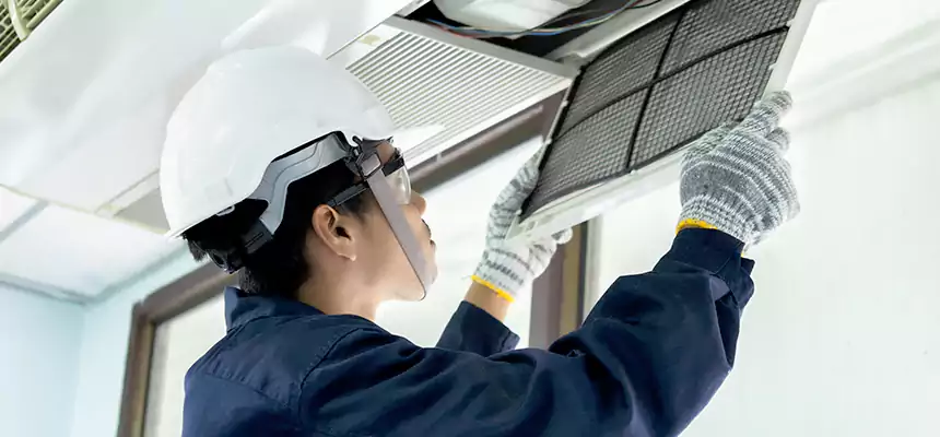 Our Mold & Mildew Removal from Air Ducts Services in Pataskala, OH