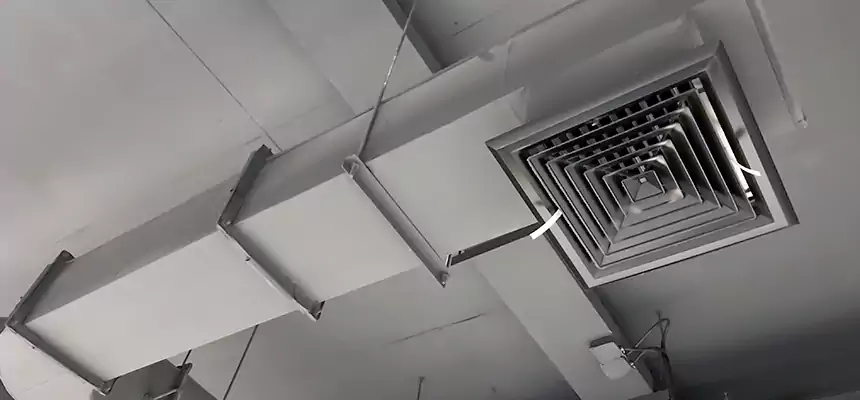 Our Pest Removal From Ducts Services in Pataskala, OH