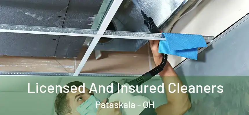 Licensed And Insured Cleaners Pataskala - OH