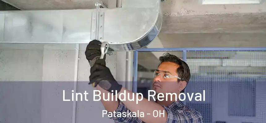 Lint Buildup Removal Pataskala - OH