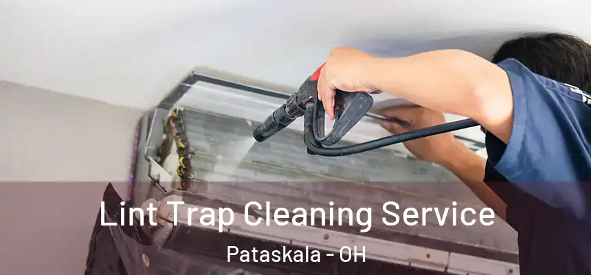 Lint Trap Cleaning Service Pataskala - OH