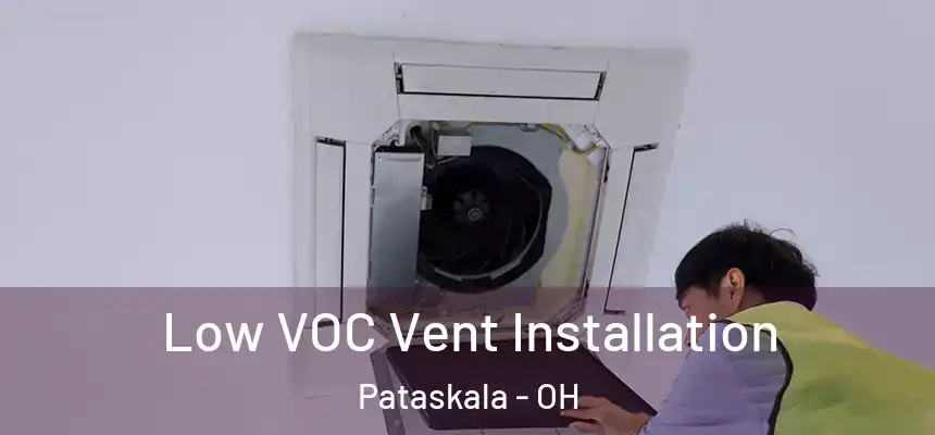 Low VOC Vent Installation Pataskala - OH