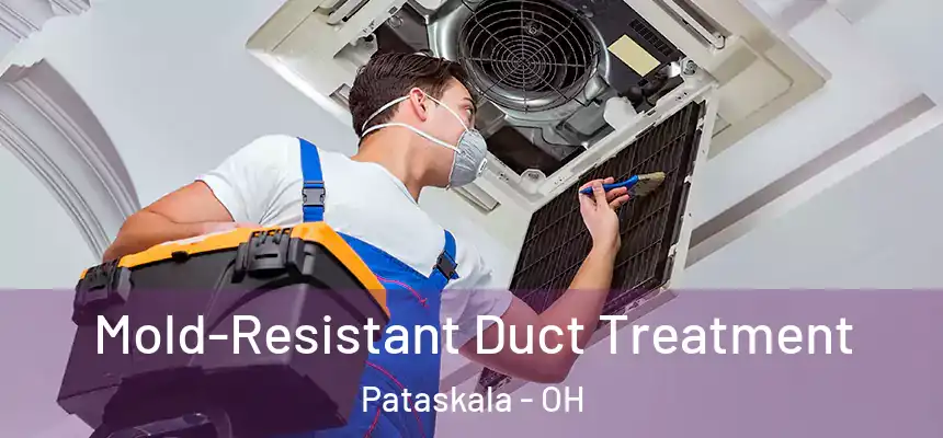 Mold-Resistant Duct Treatment Pataskala - OH