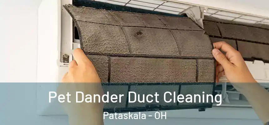 Pet Dander Duct Cleaning Pataskala - OH