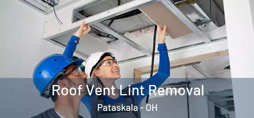 Roof Vent Lint Removal Pataskala - OH