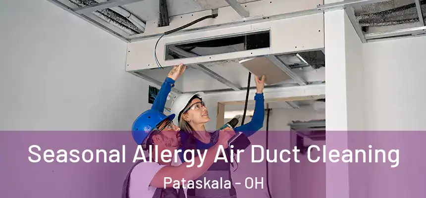 Seasonal Allergy Air Duct Cleaning Pataskala - OH