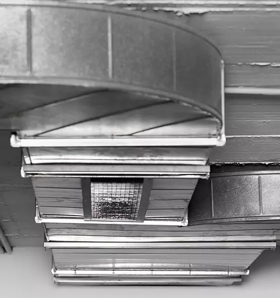 Professional Air Duct Pet Hair Removal in Pataskala, OH