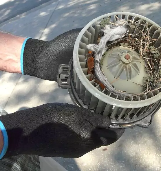 About Air Duct Rat Removal in Pataskala, OH