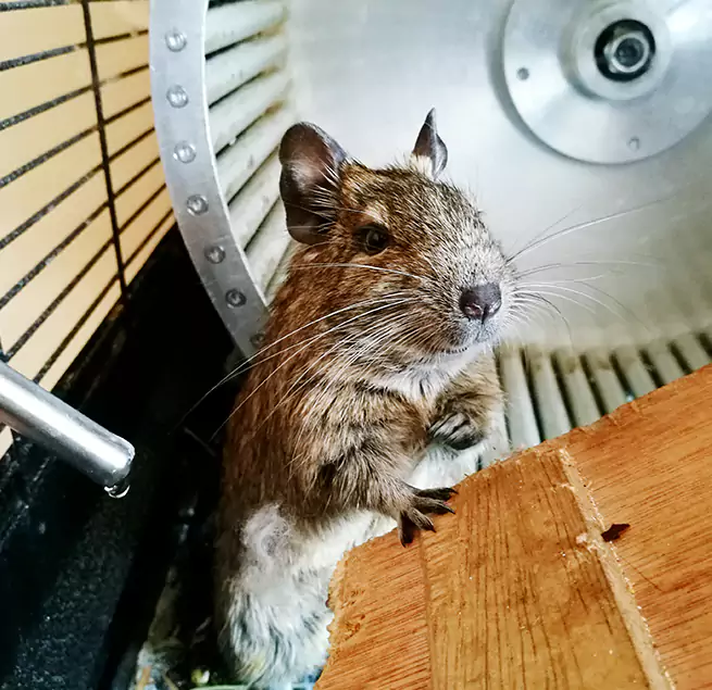 Why Homeowners & Businesses Trust Us Pataskala, OH