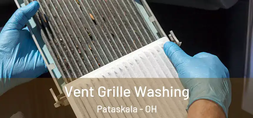 Vent Grille Washing Pataskala - OH